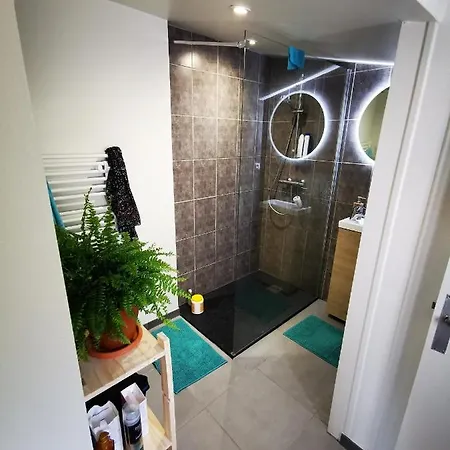 Maison En Colocation * La Roche-sur-Yon